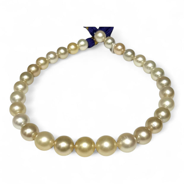 Giant 12 - 16.3mm 30 pcs South Sea Light Golden Round Pearl 16" Strand