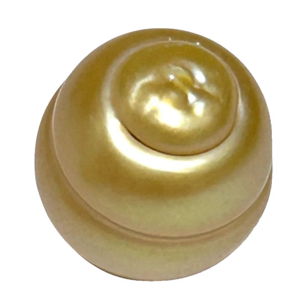 Giant 13.8 x 16.1mm 22.2 Carats Rich Gold Baroque South Sea Pearl