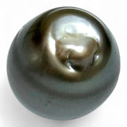 Massive Oval 25.7 Carat 14.5 x 16.5mm Peacock Gray Tahitian Pearl