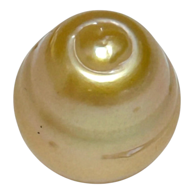 Giant 14.6 x 17.3mm 26.4 Carats Deep Golden Philippines Sea Pearl