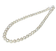 5A Superb 7.5 - 8.5mm White Cultured Pearl 16" Strand - Necklace