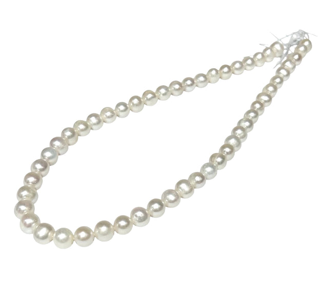 5A Superb 7.5 - 8.5mm White Cultured Pearl 16" Strand - Necklace