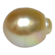 Giant 15.7 x 18.4mm Rich Gold Philippines South Sea Pearl Loose