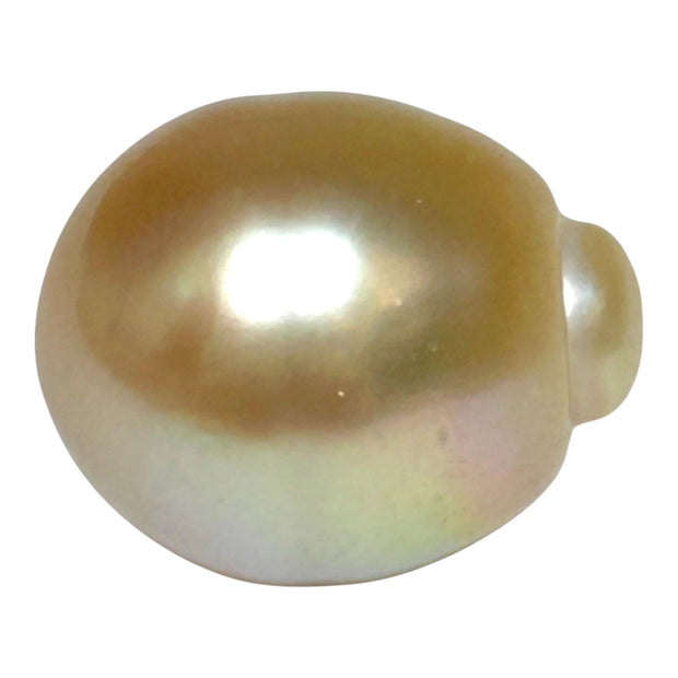 Giant 15.7 x 18.4mm Rich Gold Philippines South Sea Pearl Loose