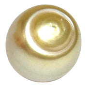 Giant 13.9 x 16.4mm 23.6 Carats Gold South Sea Pearl Loose