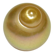 Giant 14.5 × 17.6mm 24.2ct Natural Deep Gold South Sea Pearl Loose