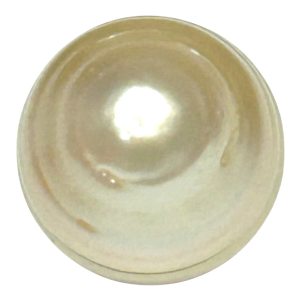 Premier Oval 13.1 x 16.6mm 19.4 Carats Gold South Sea Pearl Loose