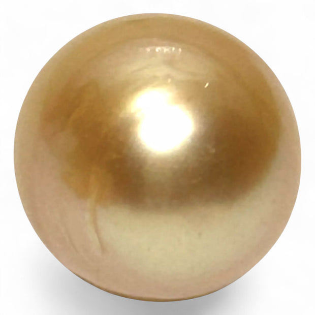 Giant 15.2 x 16.6mm 26.7 Carats Rich Golden South Sea Pearl Loose