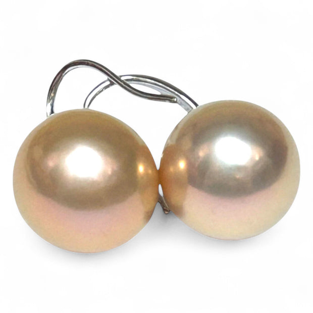 Huge 13mm Purple Rose Pink Edison Farmed Round Pearl Hook Earrings