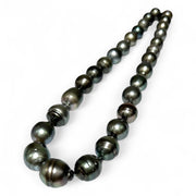 Baroque 11 - 18mm Peacock Gray Green Tahitian Sea Pearl 16" Strand