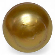 Large 14.9 x 16.1mm 24.4 Carat Deep Golden South Sea Pearl Loose