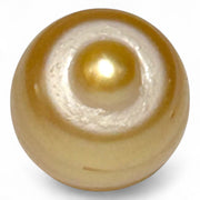 Giant 14.6 x 16mm 23.67 Carat Rich Golden Oval South Sea Loose Pearl