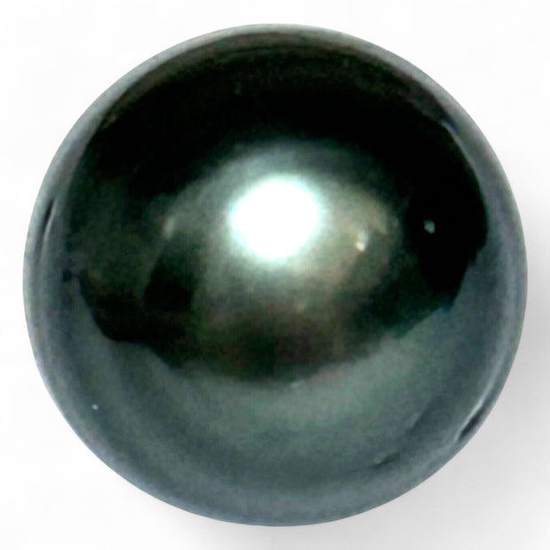 Huge 13.3 x 14.2mm, 17.2 Cts Tahitian Sea Peacock Black Oval Loose Pearl