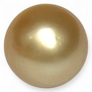 Giant Rich Golden 14.1 x 15.2mm 21.06 Carats South Sea Pearl Loose