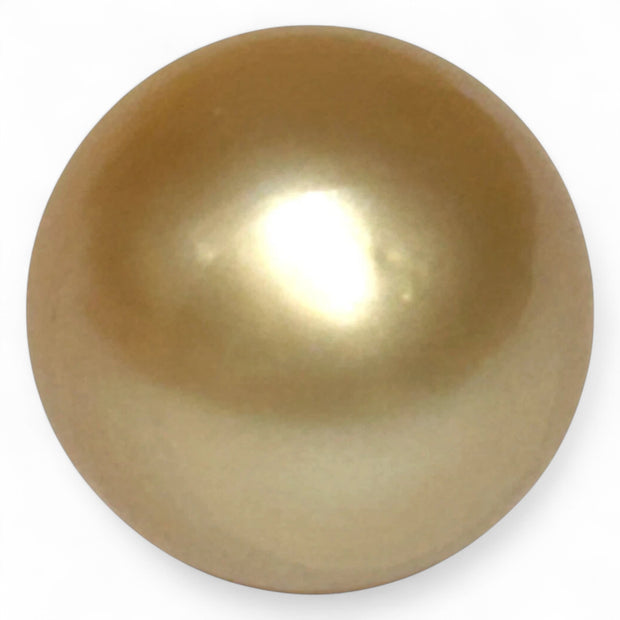 Giant Rich Golden 14.1 x 15.2mm 21.06 Carats South Sea Pearl Loose