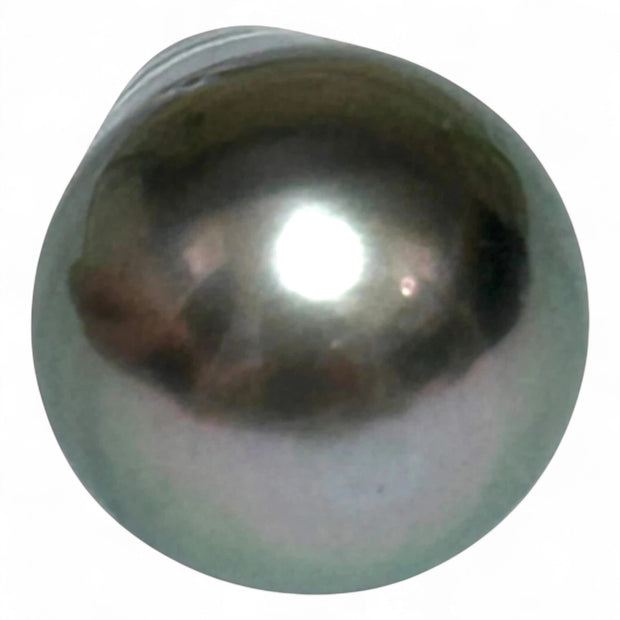 Stunning 12.1 x 15.9mm Teardrop Bottom Round Tahitian South Sea pearl