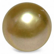Giant 14.2 x 17.3mm 23 Carat Philippines South Sea Gold Cultured Pearl