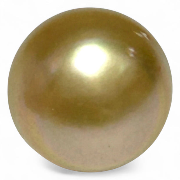 Giant 14.2 x 17.3mm 23 Carat Philippines South Sea Gold Cultured Pearl