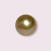 Giant Oval 14.5 x 16.8mm 24.6 Carats Deep Gold South Sea Pearl Loose