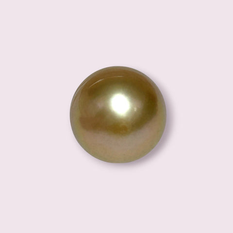 Giant Oval 14.5 x 16.8mm 24.6 Carats Deep Gold South Sea Pearl Loose
