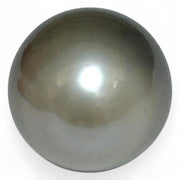 Oval Drop 13.8 x 17.7mm 21.6 Carats Tahitian Sea Peacock Mid-Gray Pearl