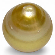Magnificent Oval 14.6 x 16.8mm 23.2 Carats Golden Philippine Sea Pearl