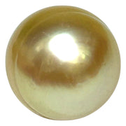 Grand 15.7 x 17.6mm 30 Carat Golden Philippines South Sea Pearl Loose