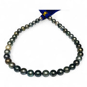 Round 9 - 11mm 40 pcs Multicolors Tahitian South Sea Pearl 16" Strand