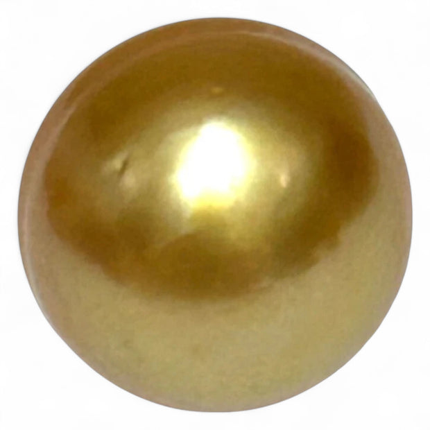 Grand 14.5 x 17mm, 23.3 Carats Deep Golden Philippines Sea Pearl Loose