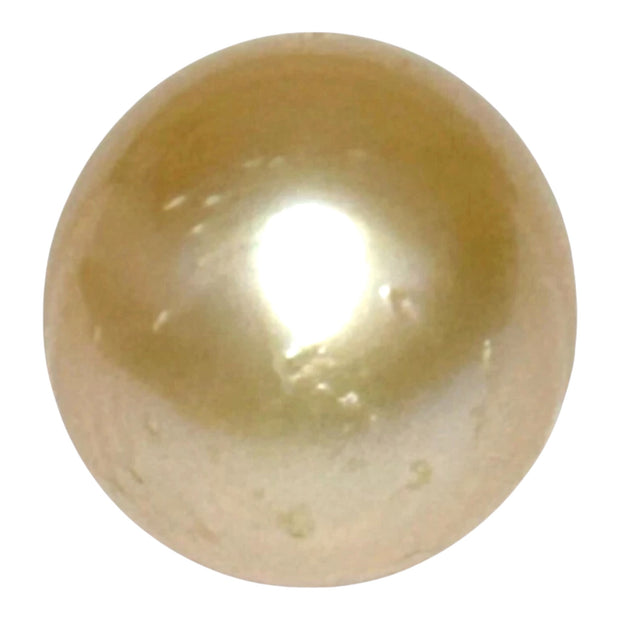 Giant 13.9 x 16.4mm 23.6 Carats Gold South Sea Pearl Loose