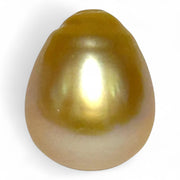 Giant 19.7 Carat 13.2 x 16.2mm Rich Gold Philippines South Sea Pearl