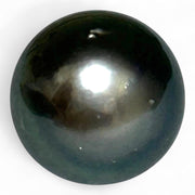 Massive Oval 21 Ct 13.3 x 15.4 mm Peacock Gray Tahitian Sea Pearl