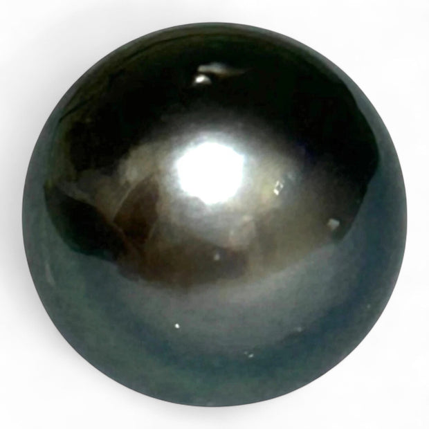 Massive Oval 21 Ct 13.3 x 15.4 mm Peacock Gray Tahitian Sea Pearl