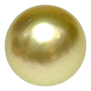 Teardrop 12.2 x 13.8mm 14.6 Carat Gold Philippines South Sea Pearl