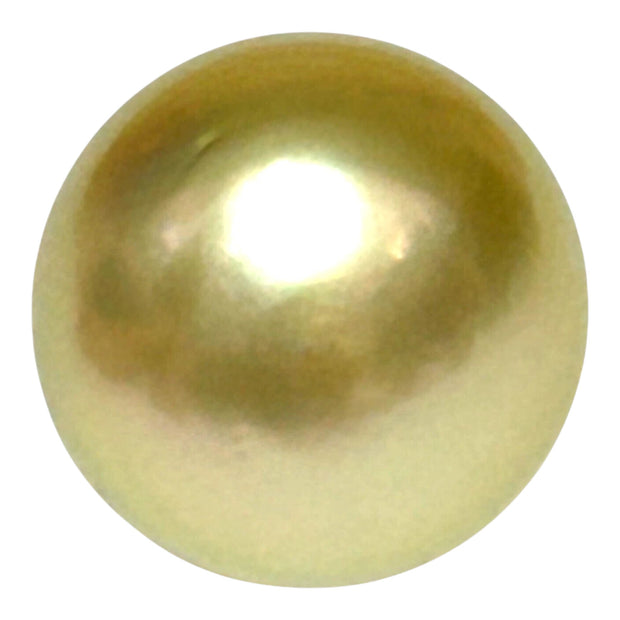 Teardrop 12.2 x 13.8mm 14.6 Carat Gold Philippines South Sea Pearl