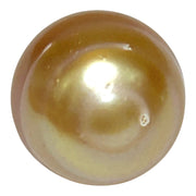 Giant 14.5 × 17.6mm 24.2ct Natural Deep Gold South Sea Pearl Loose