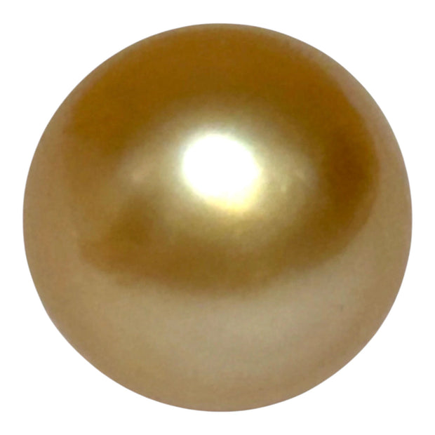 Giant 14.6 x 17.3mm 26.4 Carats Deep Golden Philippines Sea Pearl