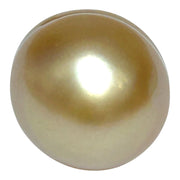 Giant 15.7 x 18.4mm Rich Gold Philippines South Sea Pearl Loose