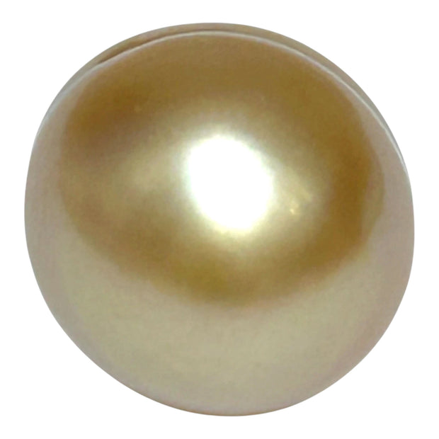 Giant 15.7 x 18.4mm Rich Gold Philippines South Sea Pearl Loose
