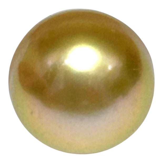 Lustrous Oval 12.8 x 15.2mm Deep Gold Philippines South Sea Pearl