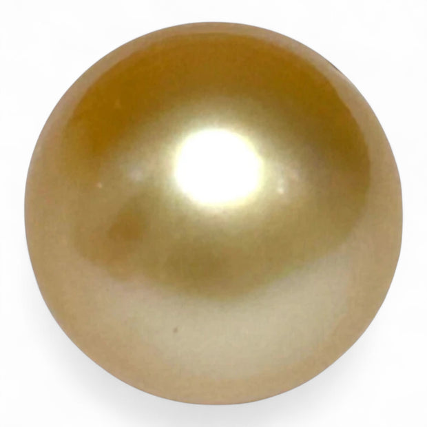 Gorgeous 14.3 x 17mm 23.3 Carats South Sea Pearl – Rich Gold Oval