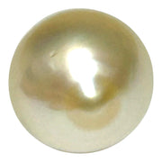 Premier Oval 13.1 x 16.6mm 19.4 Carats Gold South Sea Pearl Loose
