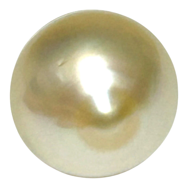 Premier Oval 13.1 x 16.6mm 19.4 Carats Gold South Sea Pearl Loose