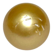 Unique 13.6 x 15mm 19.8 Carats Philippines South Sea Gold Oval Pearl
