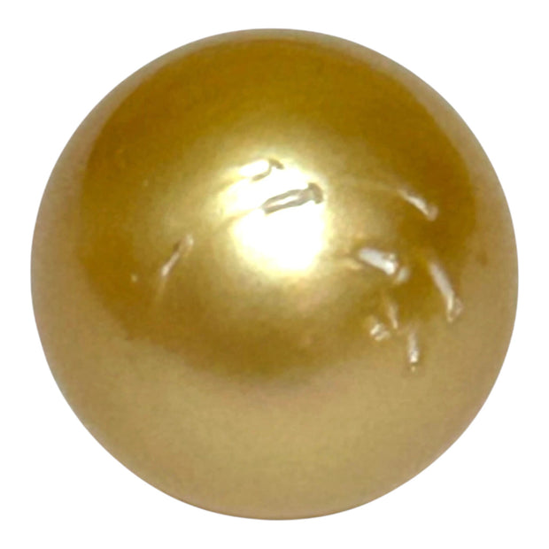 Unique 13.6 x 15mm 19.8 Carats Philippines South Sea Gold Oval Pearl
