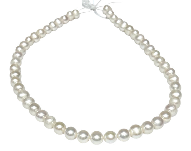 5A Superb 7.5 - 8.5mm White Cultured Pearl 16" Strand - Necklace