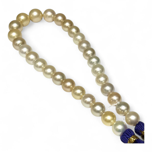 Giant 12 - 16.3mm 30 pcs South Sea Light Golden Round Pearl 16" Strand
