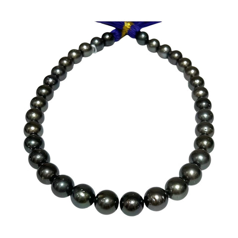Round 11 - 13mm 34 pcs Tahitian Peacock Black Green Pearl 16" Strand