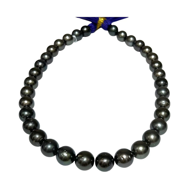 Round 11 - 13mm 34 pcs Tahitian Peacock Black Green Pearl 16" Strand