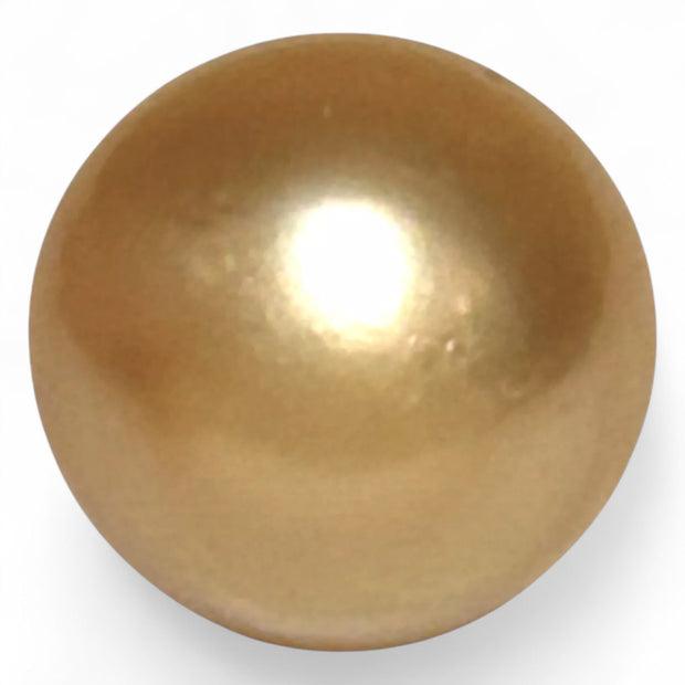 Huge 13.8 x 16.6mm 20 Carat Rich Golden Philippines South Sea Pearl